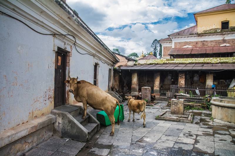 Photograph from Jeff Hann's archive: travel