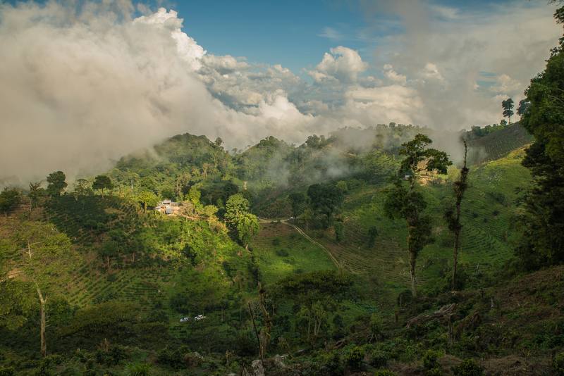 Photograph from Jeff Hann's archive: travel