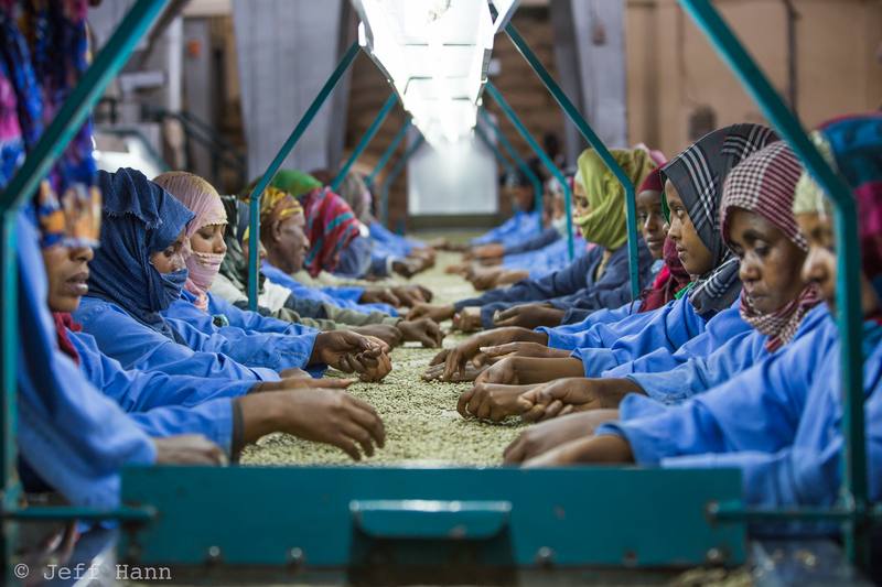 Photograph by Jeff Hann: Coffee factory, Ethiopia