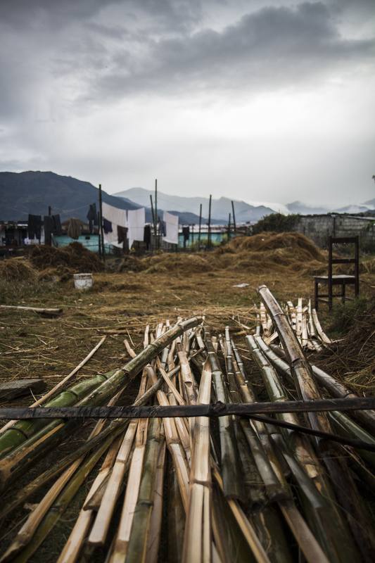 Photograph by Jeff Hann: Pokhara bamboo