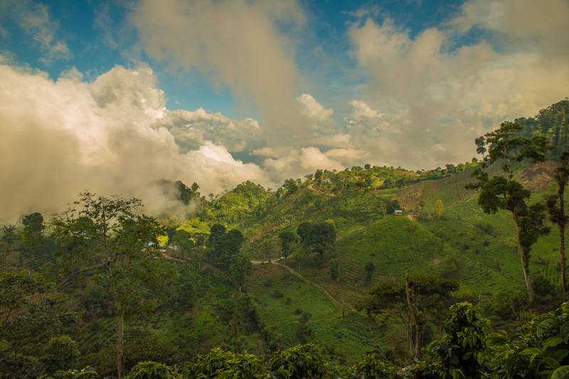 Photograph by Jeff Hann: Terraced coffee hillsides and a winding road under towering clouds