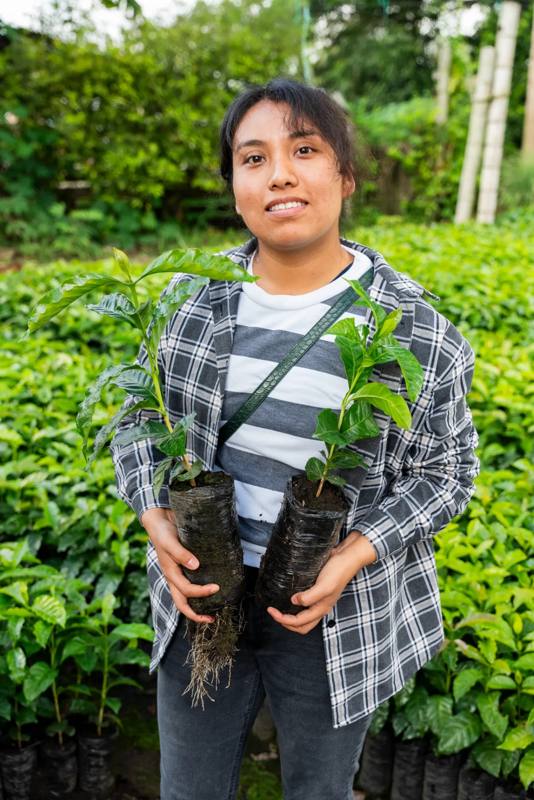 Photograph by Jeff Hann: A young woman in a nursery holding two coffee seedlings